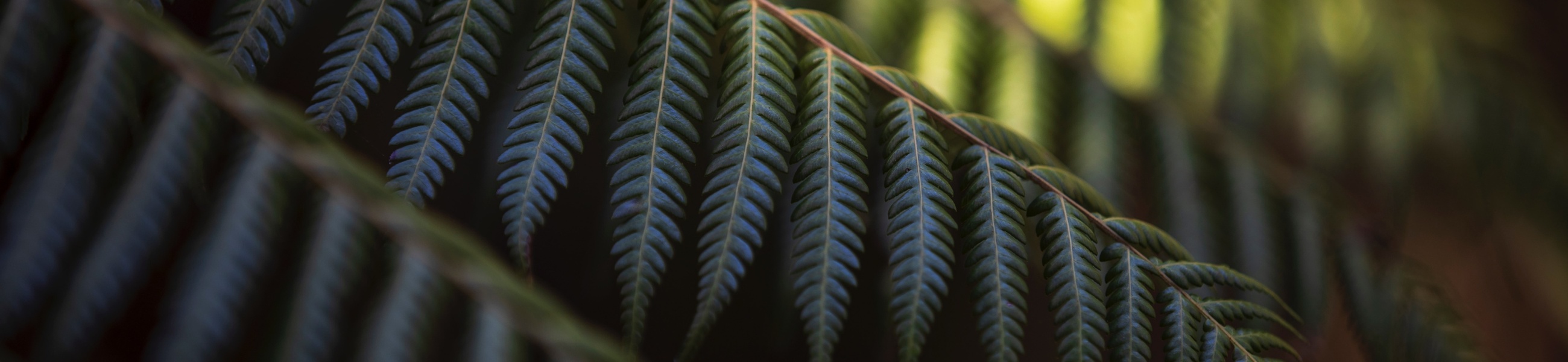 News and announcements