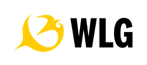 Wellington International Airport