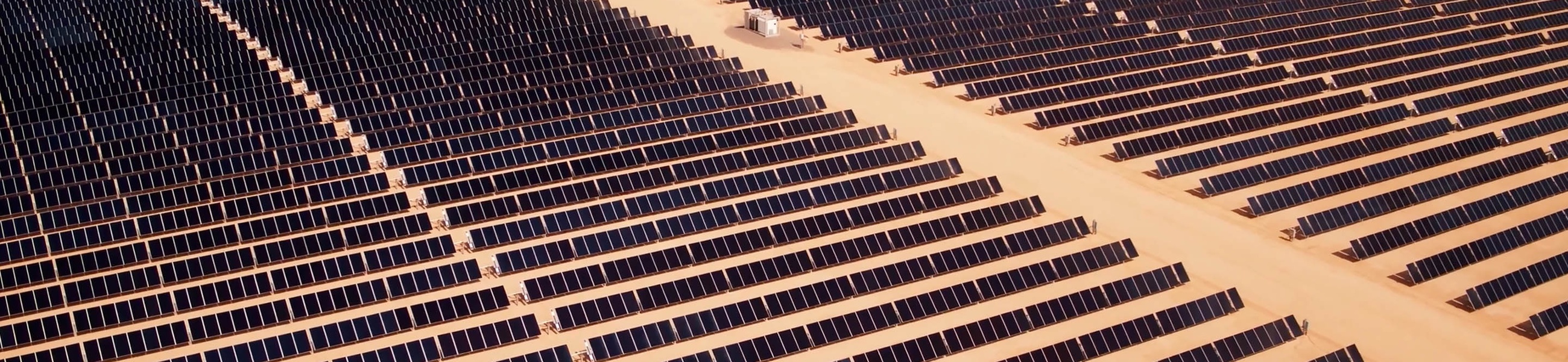 Dividends and performance