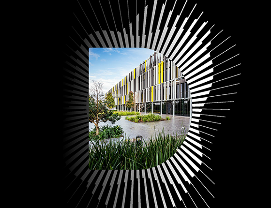 CDC Sustainability Report 2024